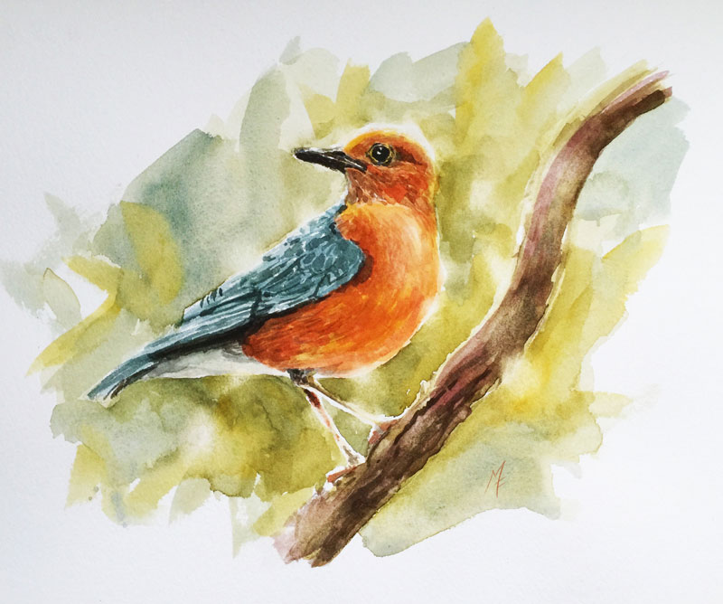 How to paint a bird with watercolor
