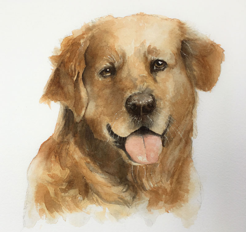 Watercolor Lesson How To Paint A Dog