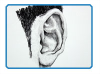 Realistic Ear