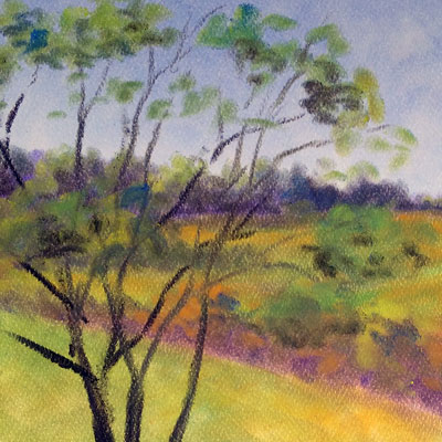 PanPastel Exploration