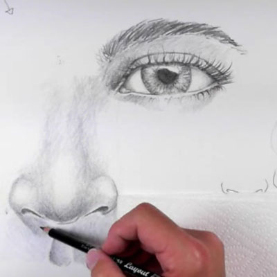 Basic Facial Proportions