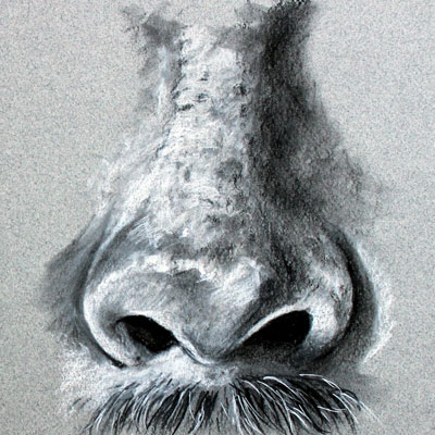 Charcoal Nose
