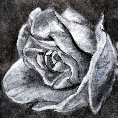 Charcoal Rendering Rose