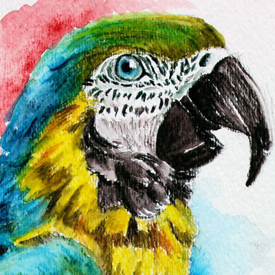 Inktense Pencils Macaw