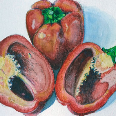 Watercolor & Colored Pencils