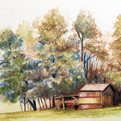 Watercolor Pencil Series