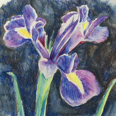 Watercolor Pencil Sketch