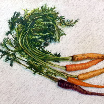 Pastel Pencil Series