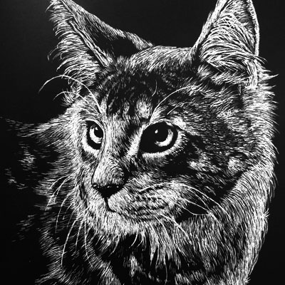 Scratchboard Series