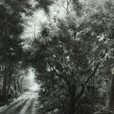 Charcoal Landscape Series