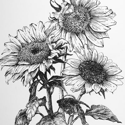 Pen and Ink Botanical Part 1