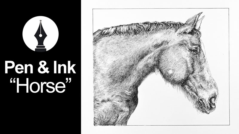 Pen and ink drawing of a horse