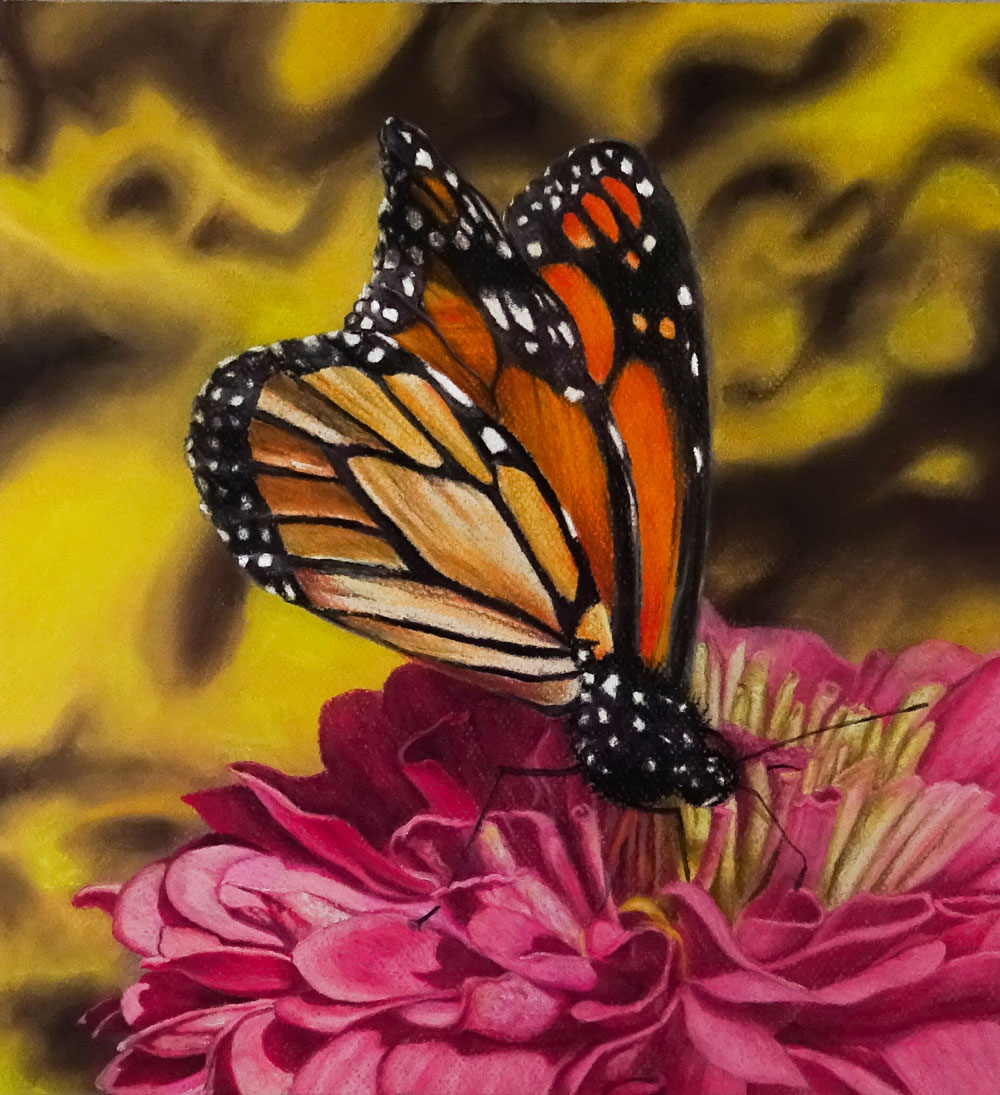 pastel drawing of a butterfly