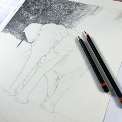 Graphite drawing lesson series - Elephant