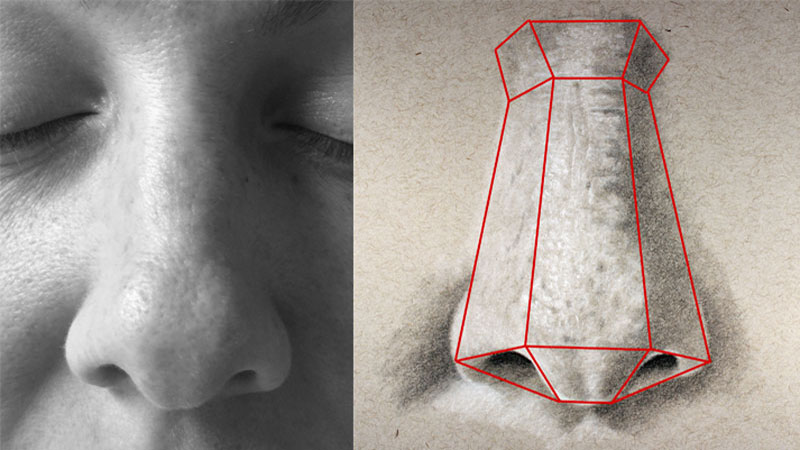 How to Draw a Nose