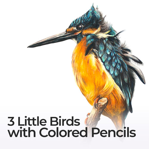3 Little Birds with Colored Pencils