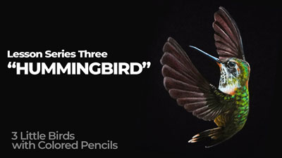 Colored Pencil Lesson Series - Hummingbird