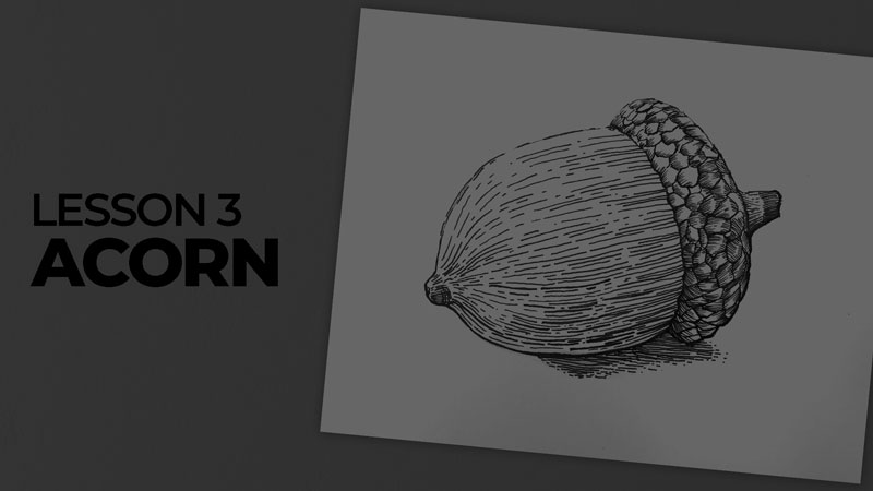 Subjects with ink - acorn