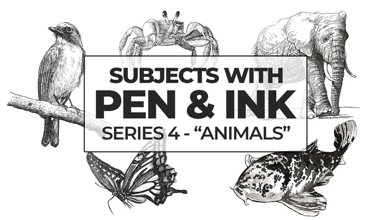 Subjects with Pen and Ink - Animals