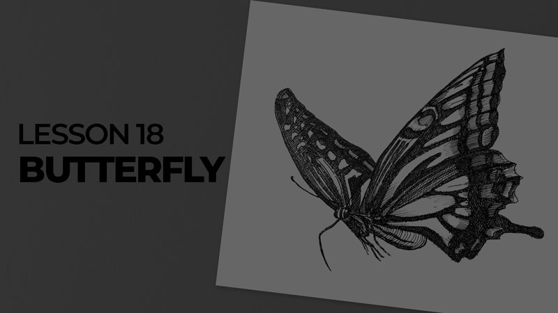 Subjects with ink - butterfly