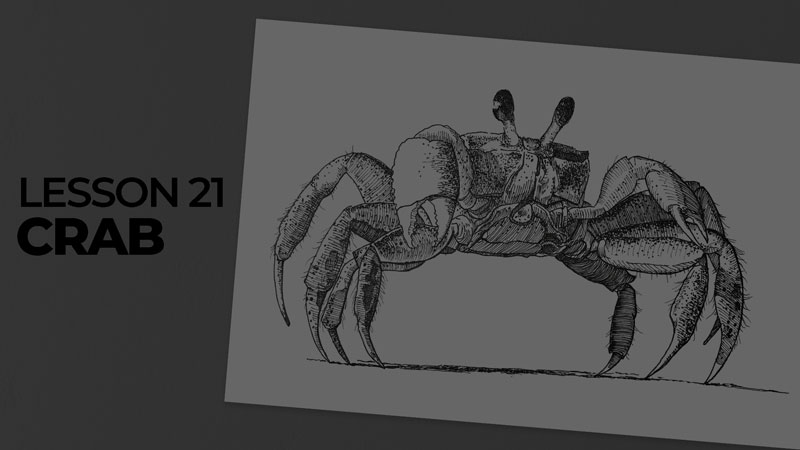 Subjects with ink - crab