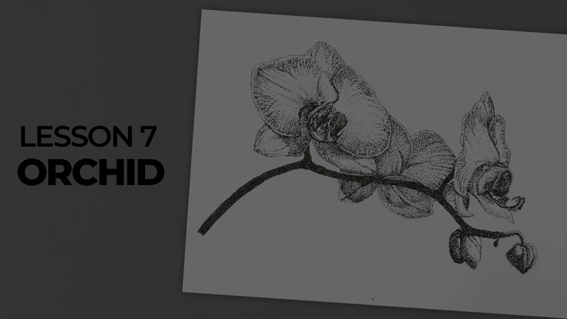 Subjects with ink - orchid