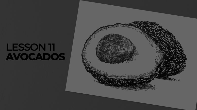 Subjects with ink - avocados
