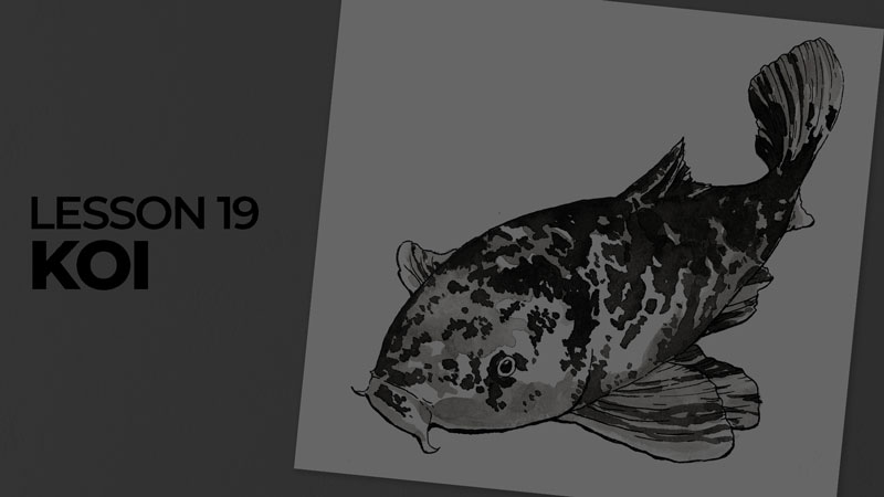Subjects with ink - koi