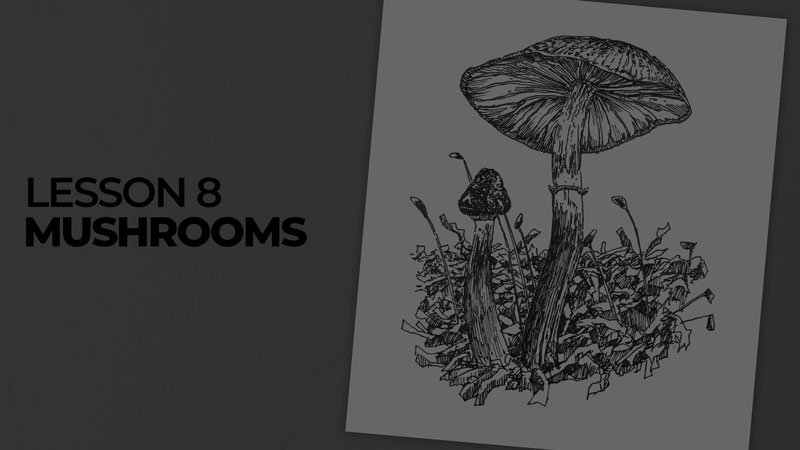 Subjects with ink - mushrooms