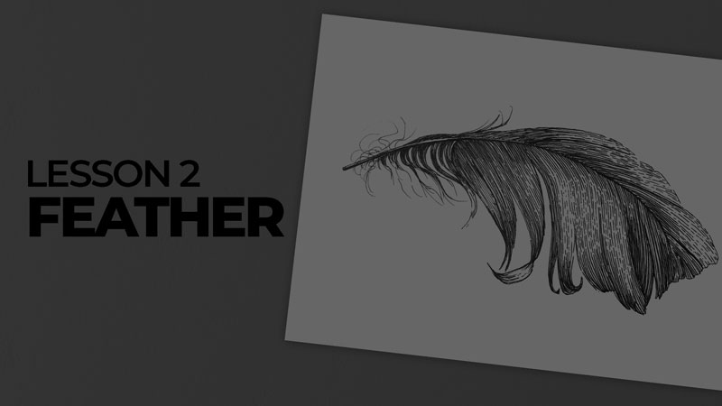 Subjects with ink - feather