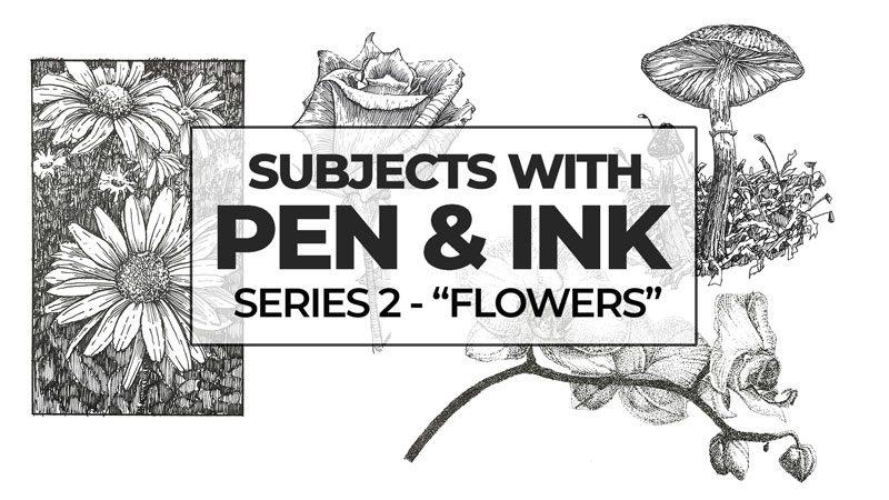 Subjects with Pen and Ink - Flowers