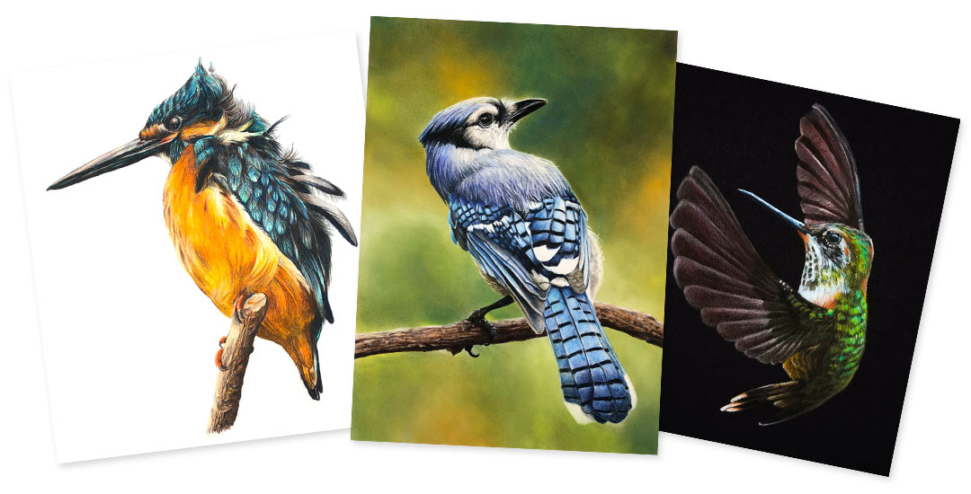 3 Little Birds With Colored Pencils Thevirtualinstructor Com Members