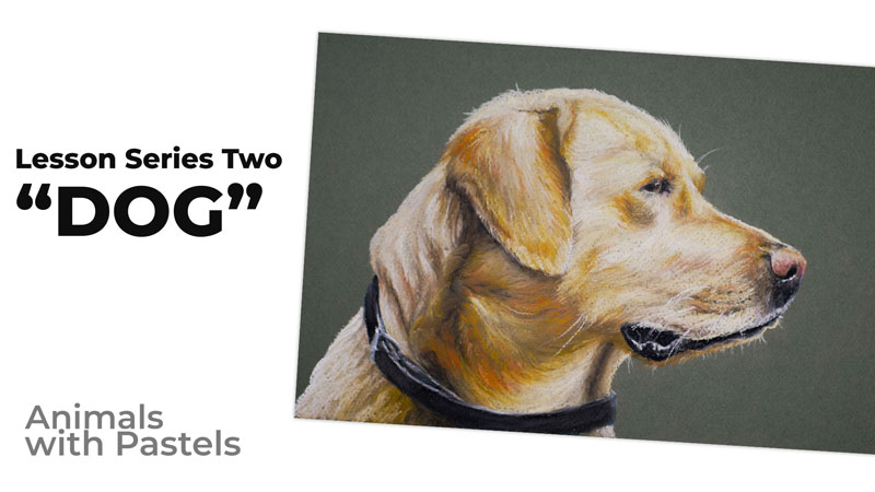 Dog with Pastels - Course Lesson Series