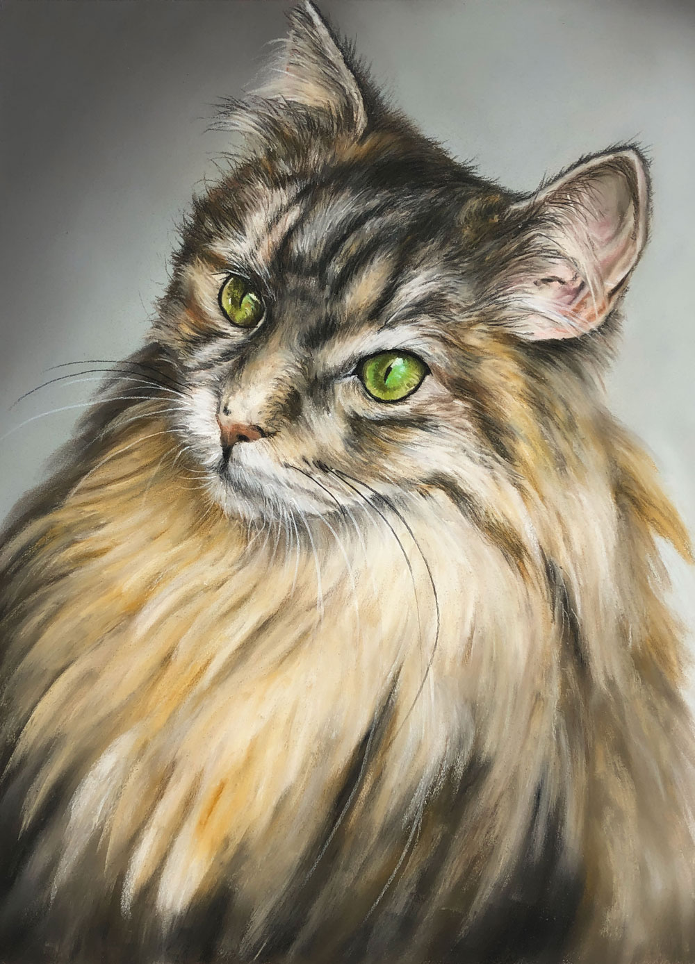 Animals with Pastels – Cat