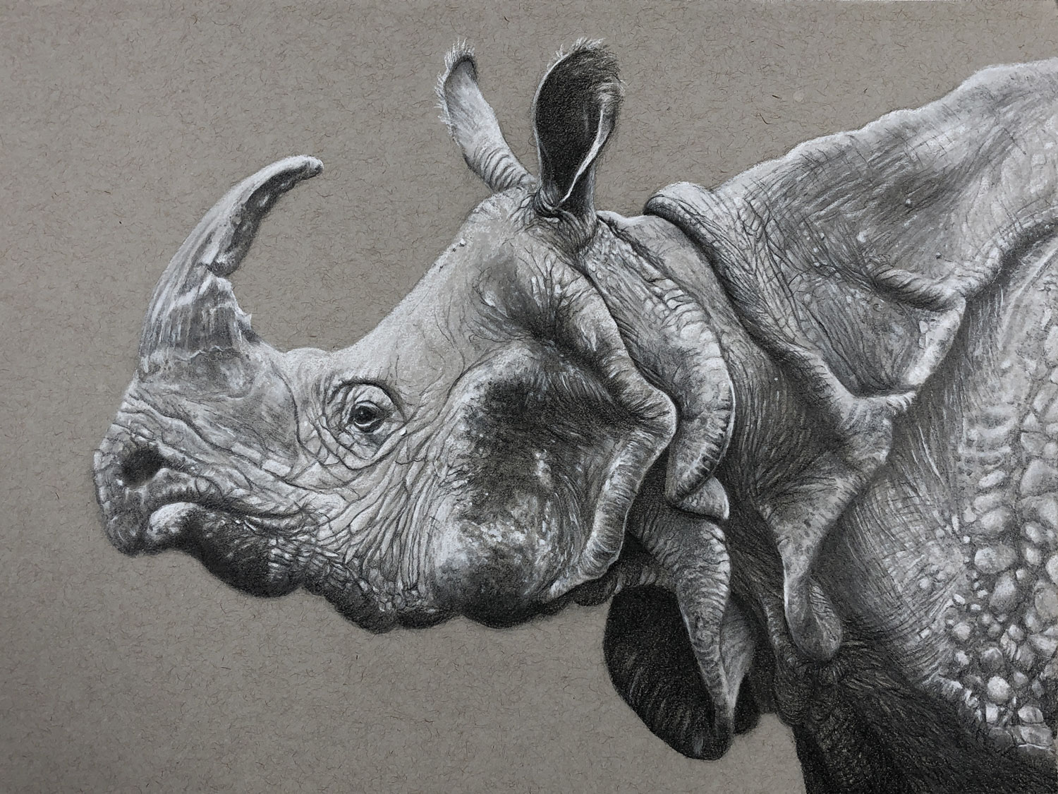 realistic drawing of a rhinoceros