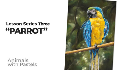 Animals with Pastels - Parrot