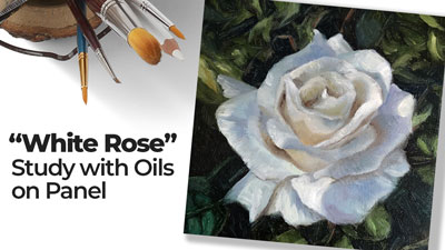 White Rose - Study with Oils