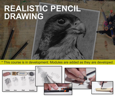 Drawing Lessons - Learn How to Draw