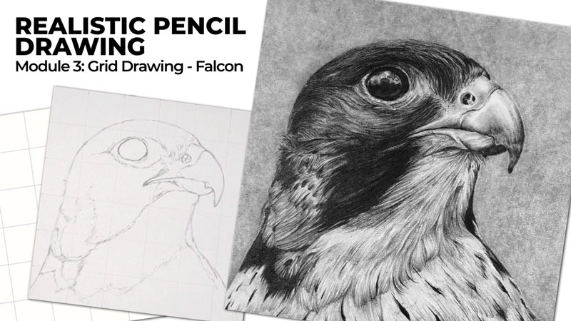 Graphite Or Pencil Drawing Tutorials