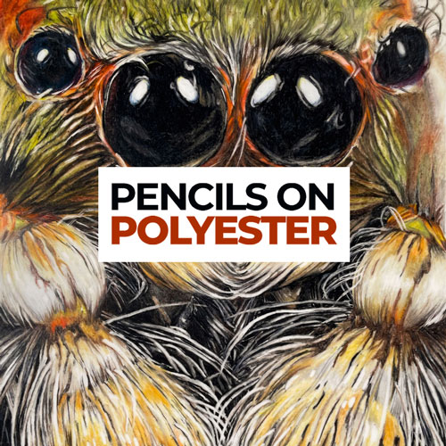 Pencils on Polyester Course