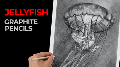Jellyfish drawing lesson series with powdered graphite