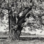 Charcoal Drawing Course – Landscape