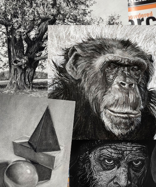 The Charcoal Drawing Course