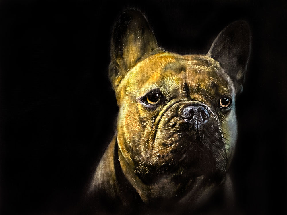 Dog portrait with oil paints