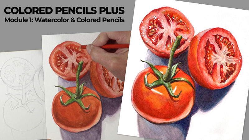 Colored pencils Plus Module 1