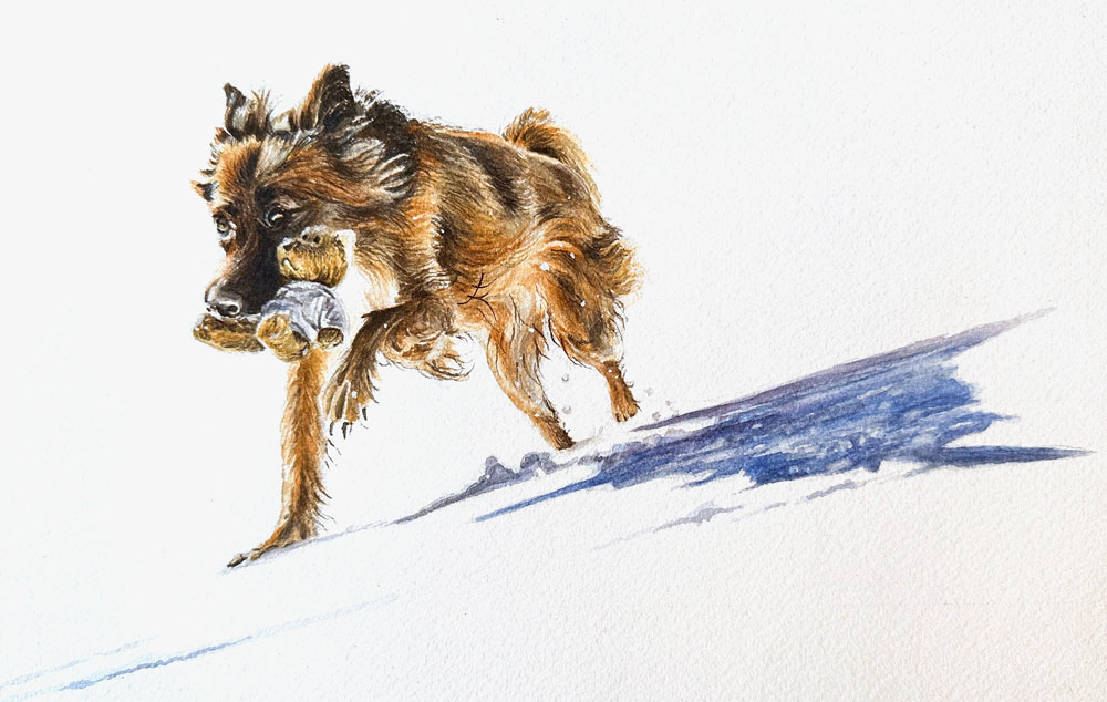 watercolor painting snow dog