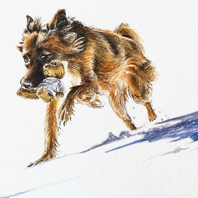 Watercolor Snow Dog
