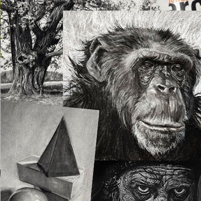 The Charcoal Drawing Course