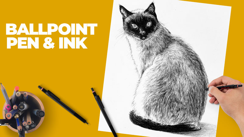 Cat Drawing with Ballpoint Pen
