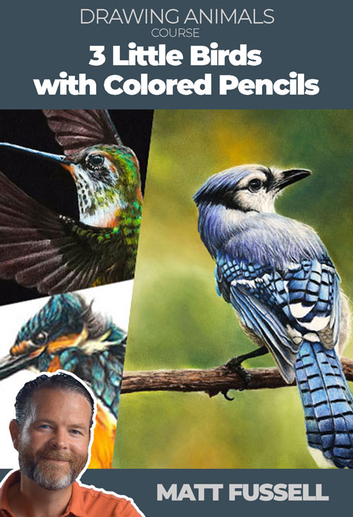 3 Little Birds with Colored Pencils